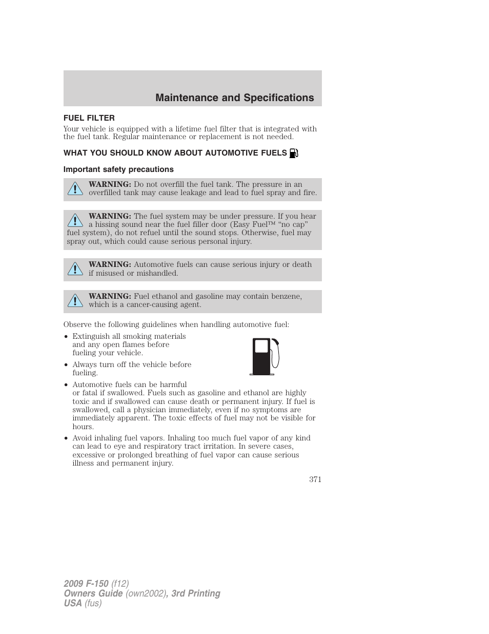 Fuel filter, What you should know about automotive fuels, Important safety precautions | Fuel information, Maintenance and specifications | FORD 2009 F-150 v.3 User Manual | Page 371 / 409