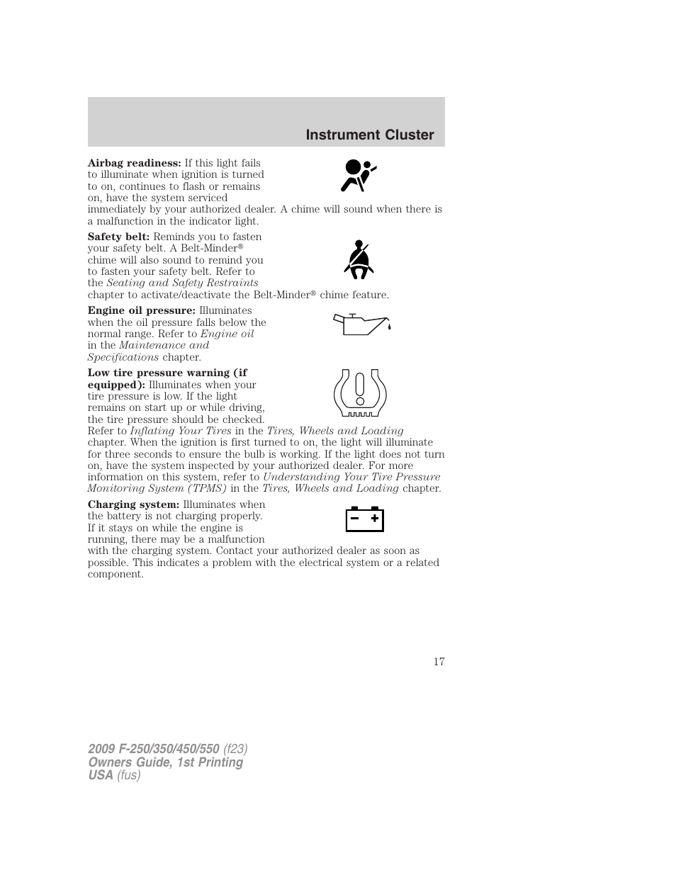 Instrument cluster | FORD 2009 F-550 v.1 User Manual | Page 17 / 418