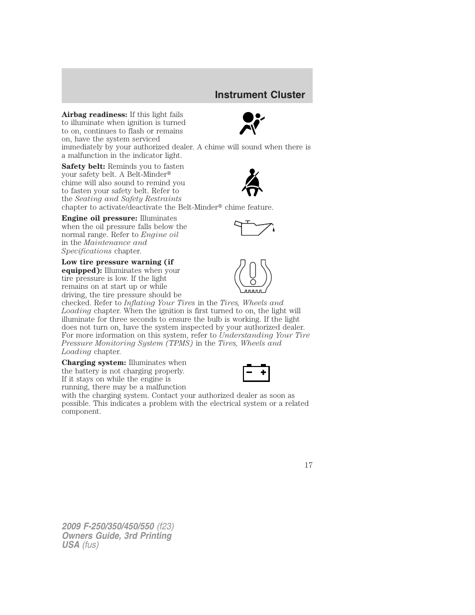 Instrument cluster | FORD 2009 F-550 v.3 User Manual | Page 17 / 419