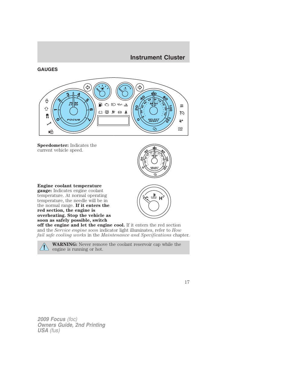 Gauges, Instrument cluster | FORD 2009 Focus v.2 User Manual | Page 17 / 265