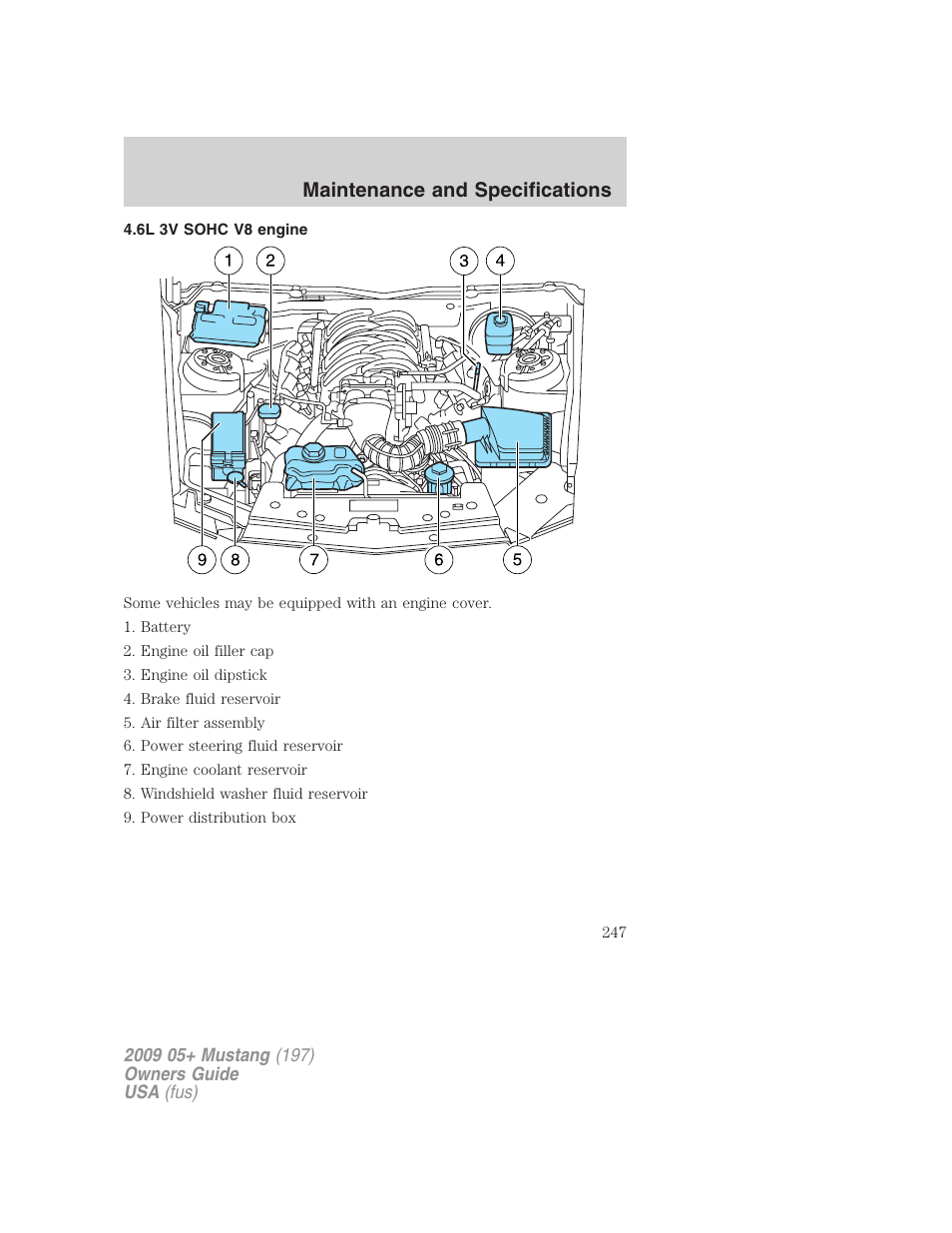 6l 3v sohc v8 engine, Maintenance and specifications | FORD 2009 Mustang User Manual | Page 247 / 292