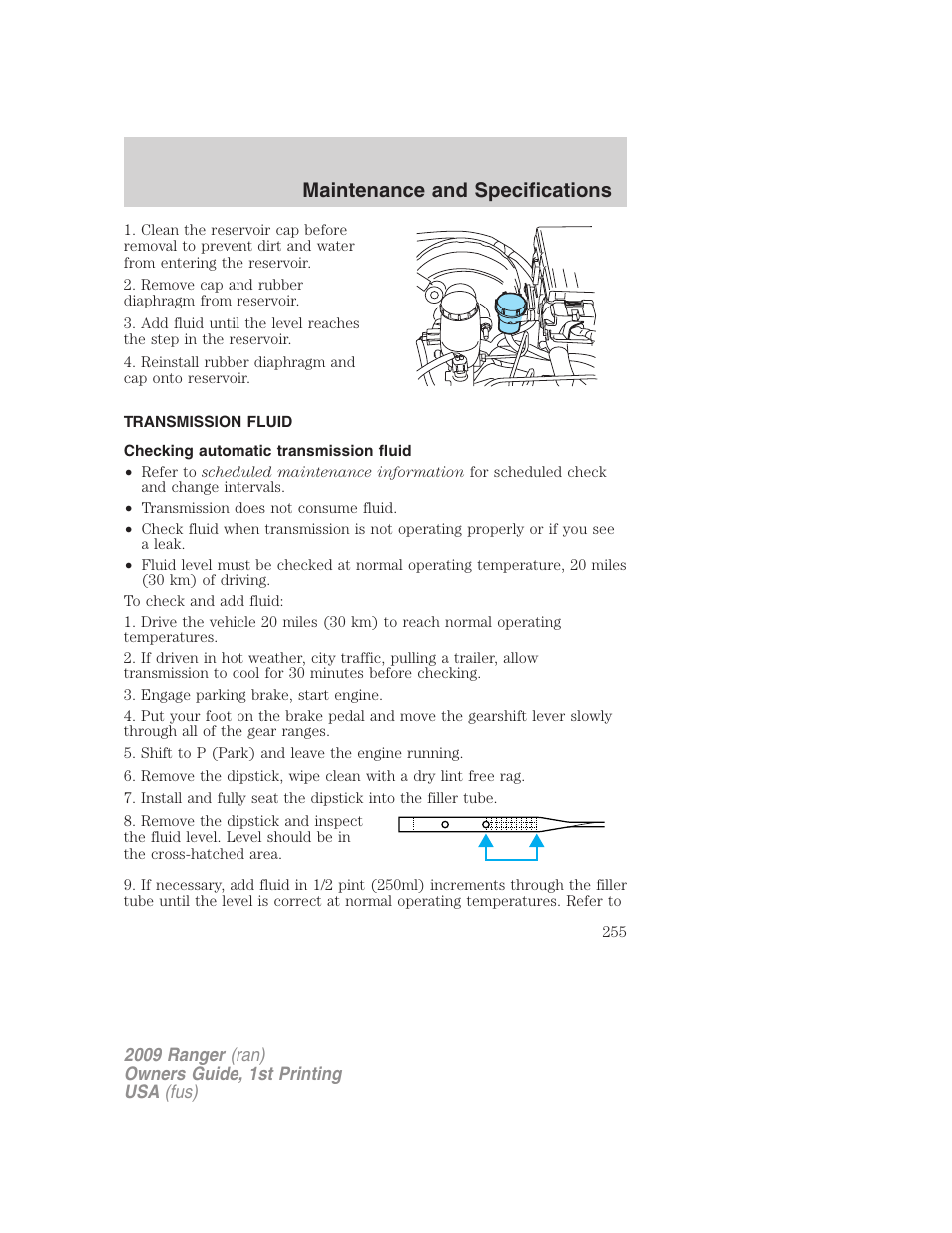 Transmission fluid, Checking automatic transmission fluid, Maintenance and specifications | FORD 2009 Ranger v.1 User Manual | Page 255 / 280