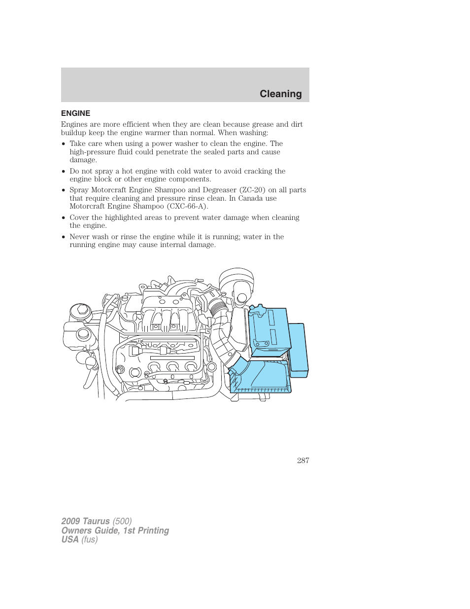 Engine, Cleaning | FORD 2009 Taurus v.1 User Manual | Page 287 / 336