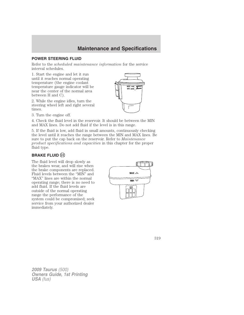 Power steering fluid, Brake fluid, Maintenance and specifications | FORD 2009 Taurus v.1 User Manual | Page 319 / 336
