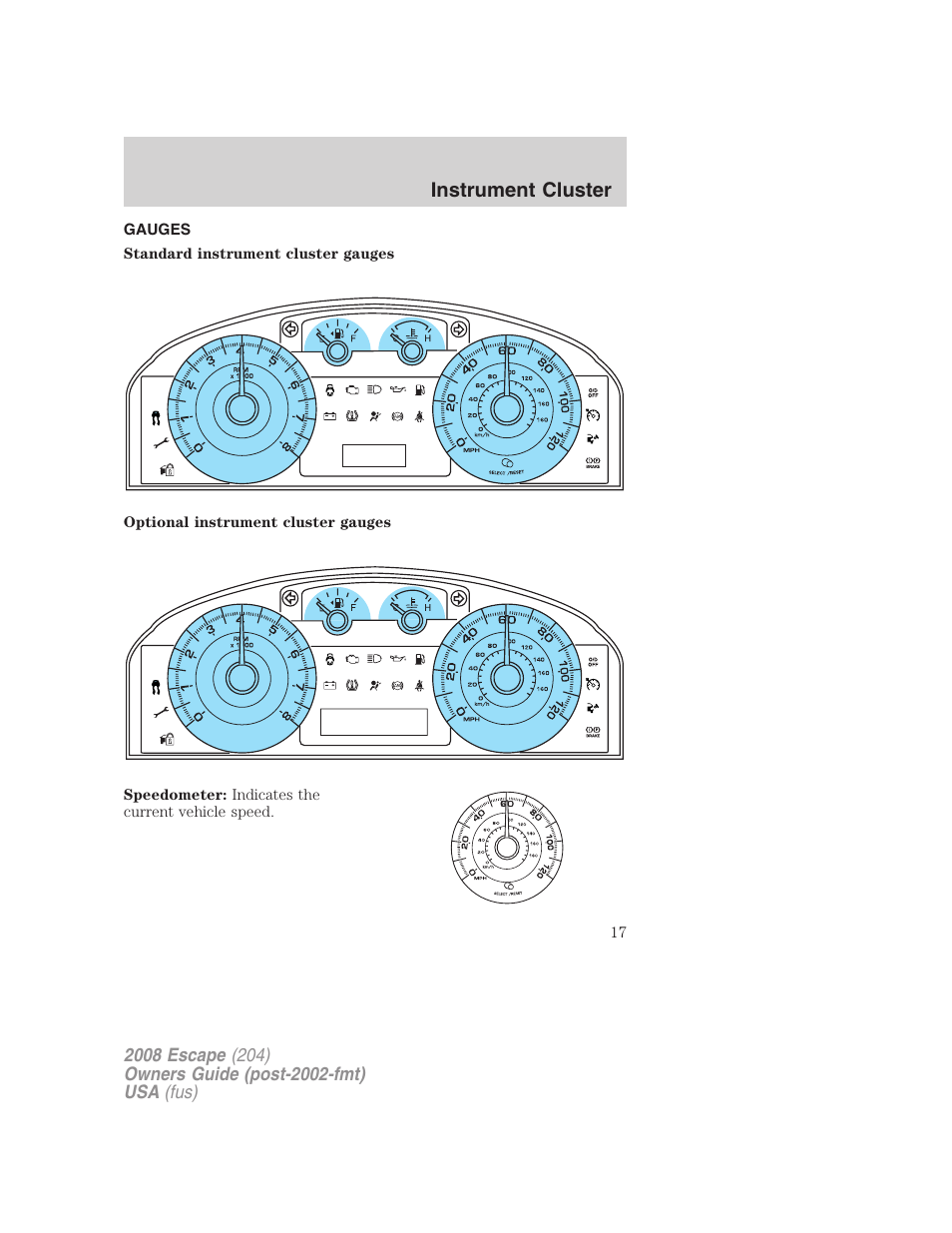 Gauges, Instrument cluster | FORD 2008 Escape v.1 User Manual | Page 17 / 296