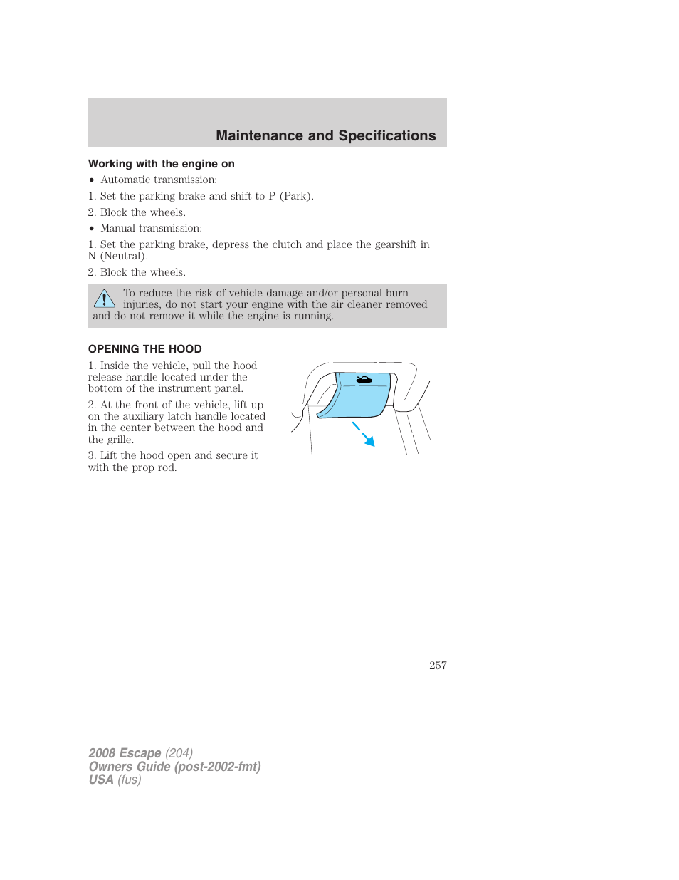 Working with the engine on, Opening the hood, Maintenance and specifications | FORD 2008 Escape v.3 User Manual | Page 257 / 304