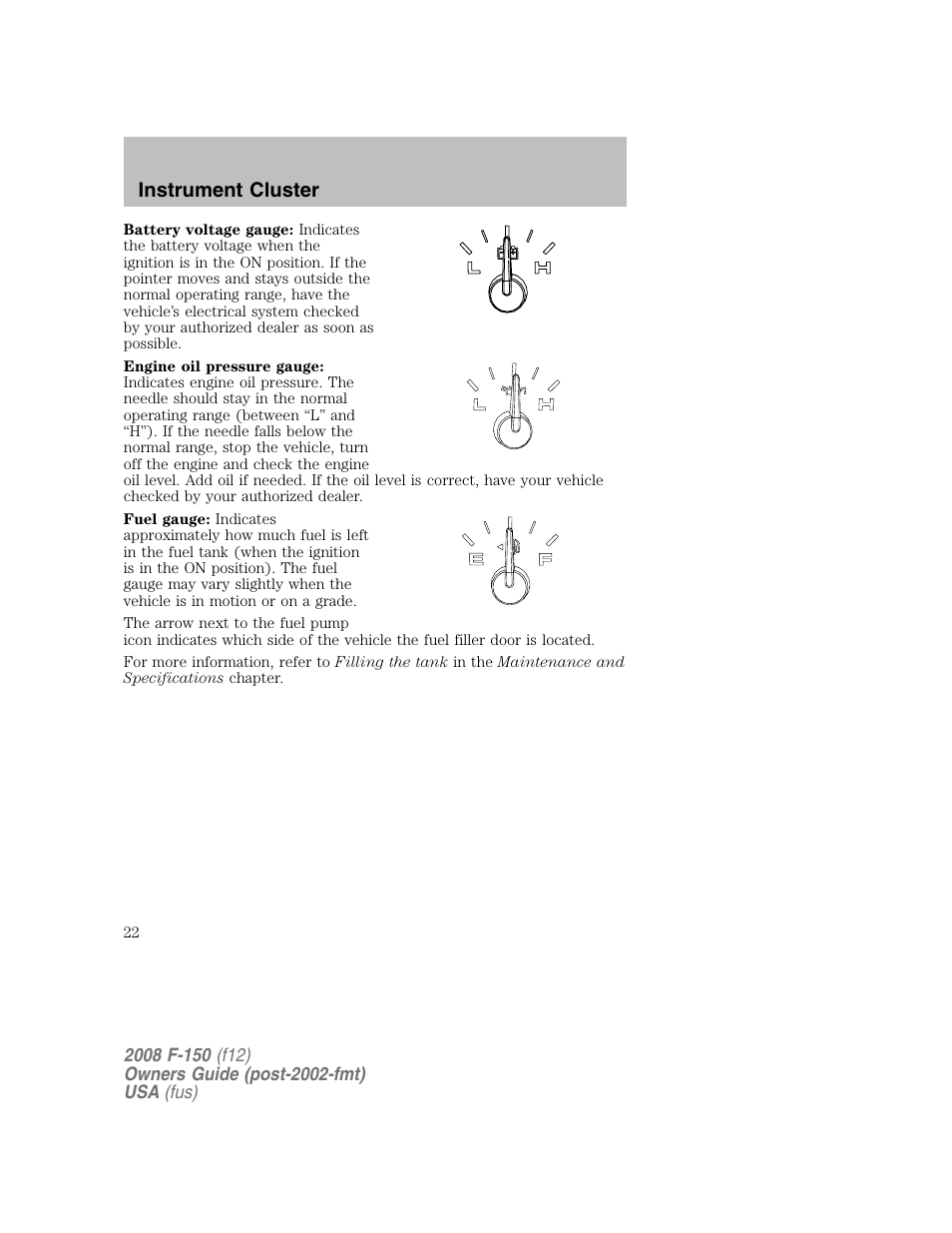 Instrument cluster | FORD 2008 F-150 v.1 User Manual | Page 22 / 400