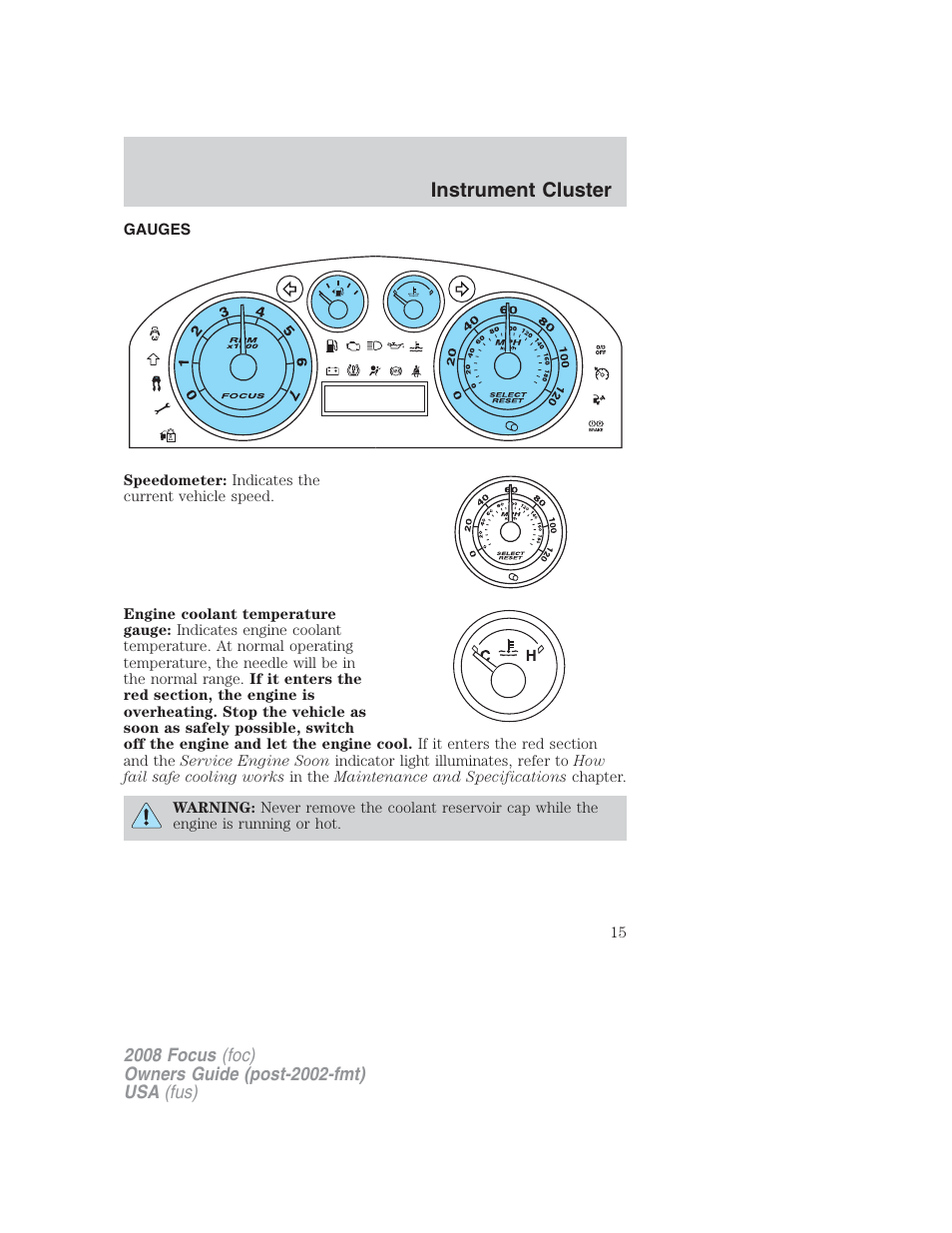 Gauges, Instrument cluster | FORD 2008 Focus v.2 User Manual | Page 15 / 264