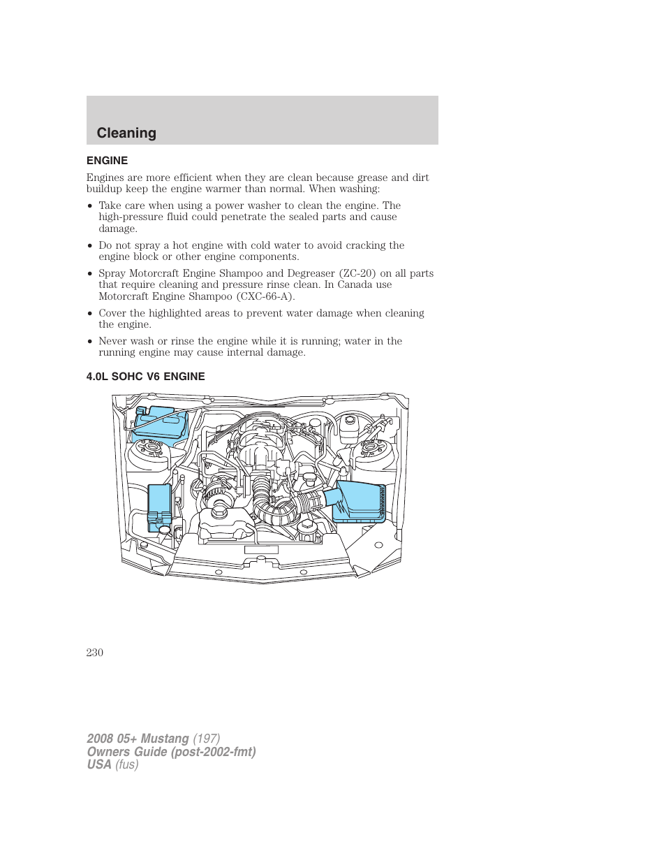 Engine, 0l sohc v6 engine, Cleaning | FORD 2008 Mustang v.3 User Manual | Page 230 / 285