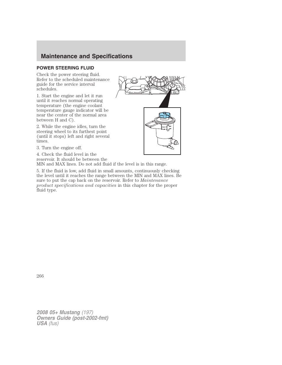 Power steering fluid, Maintenance and specifications | FORD 2008 Mustang v.3 User Manual | Page 266 / 285