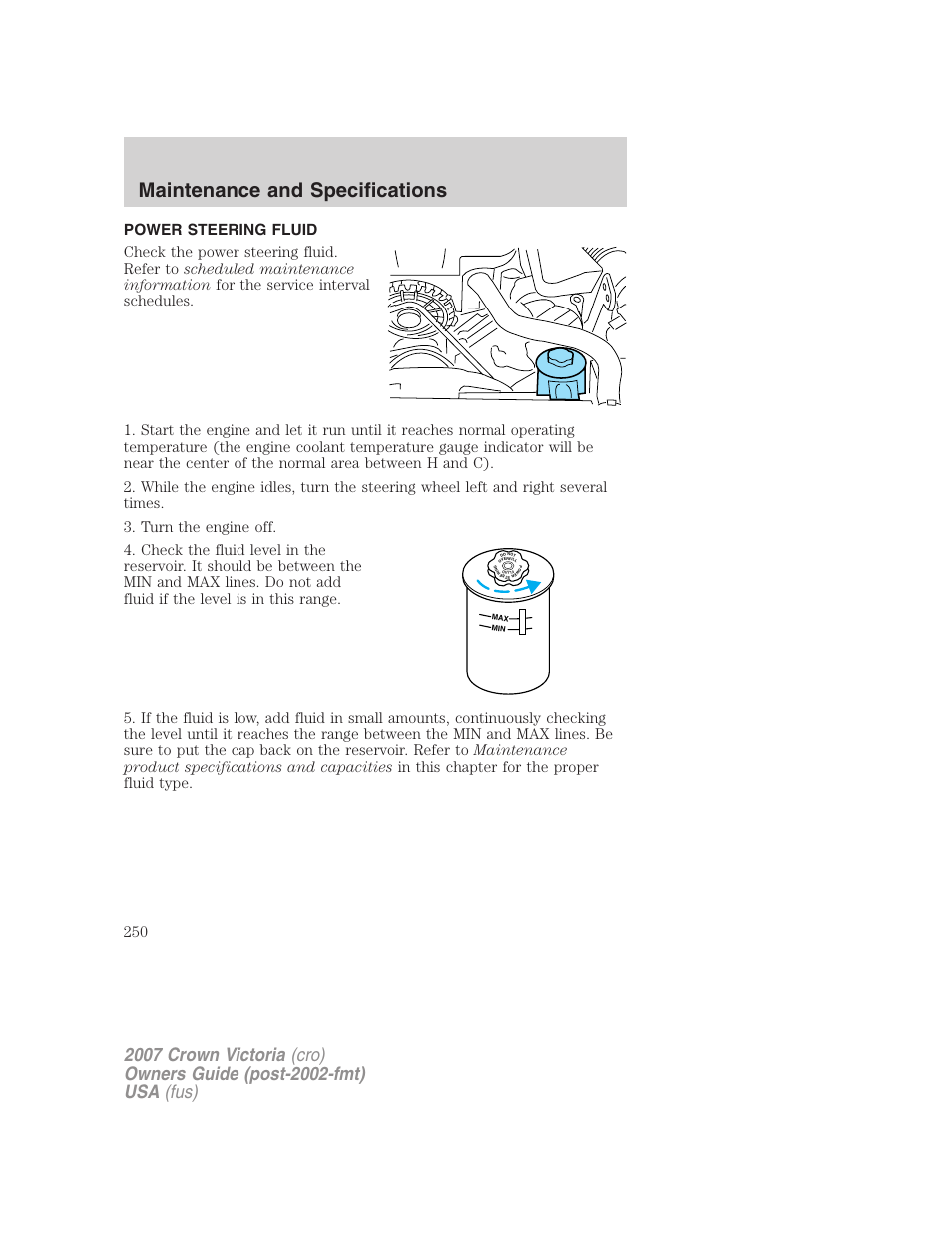 Power steering fluid, Maintenance and specifications | FORD 2007 Crown Victoria v.3 User Manual | Page 250 / 272