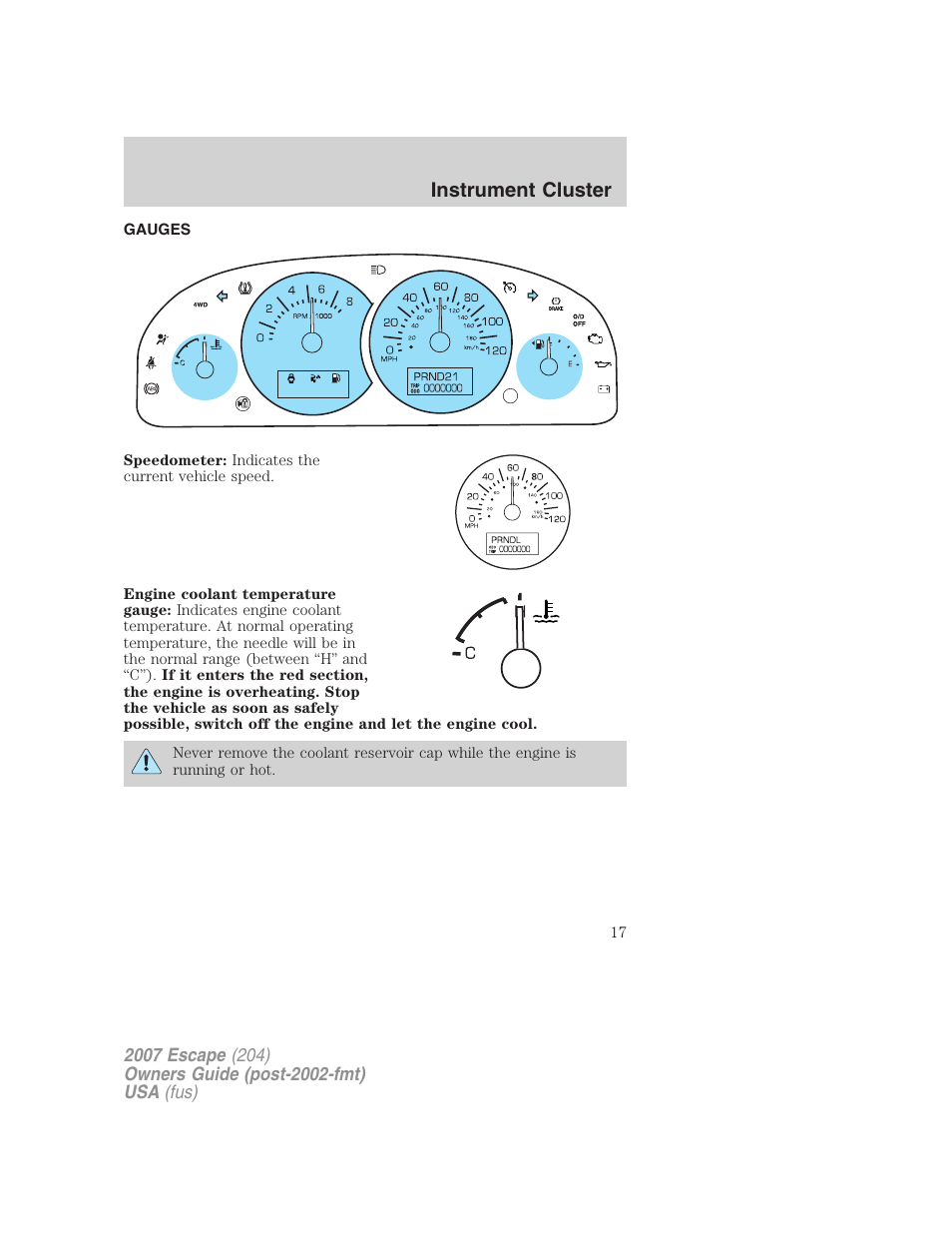 Gauges, Instrument cluster | FORD 2007 Escape v.1 User Manual | Page 17 / 288