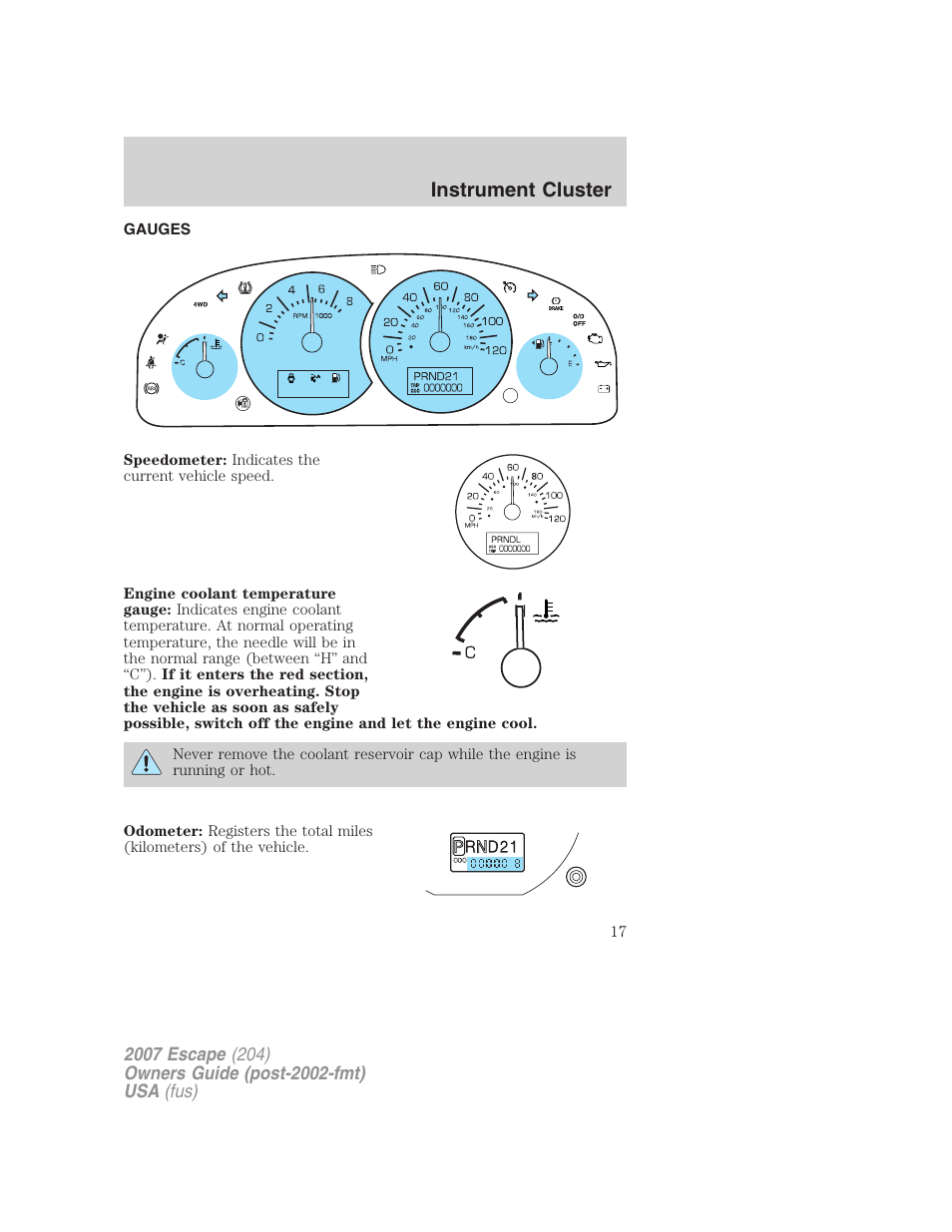 Gauges, Instrument cluster | FORD 2007 Escape v.2 User Manual | Page 17 / 288