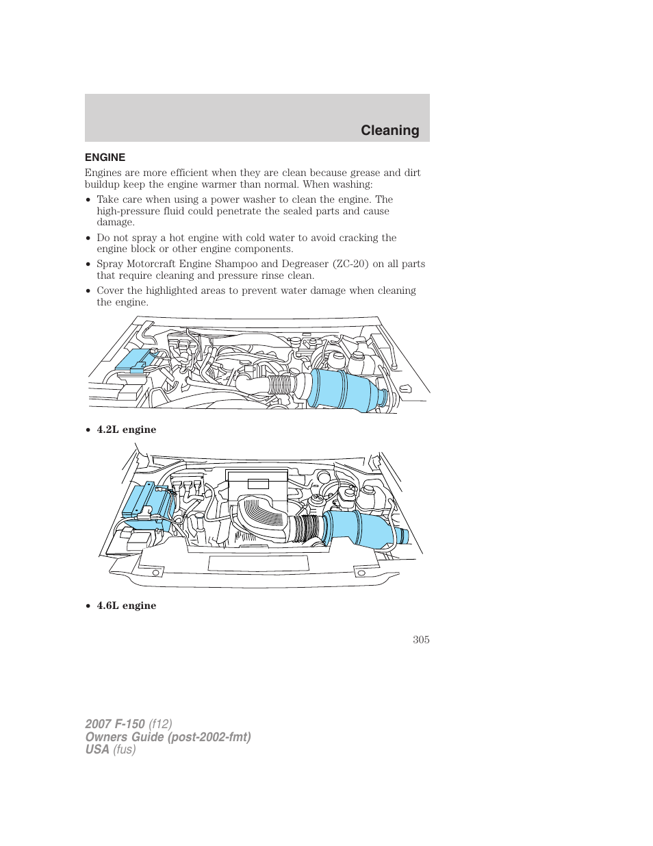 Engine, Cleaning | FORD 2007 F-150 v.2 User Manual | Page 305 / 368