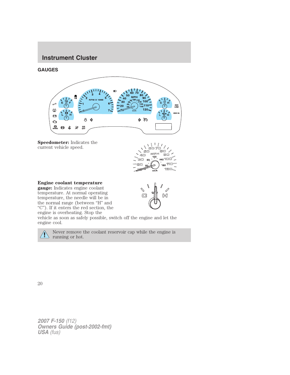 Gauges, Instrument cluster | FORD 2007 F-150 v.3 User Manual | Page 20 / 376