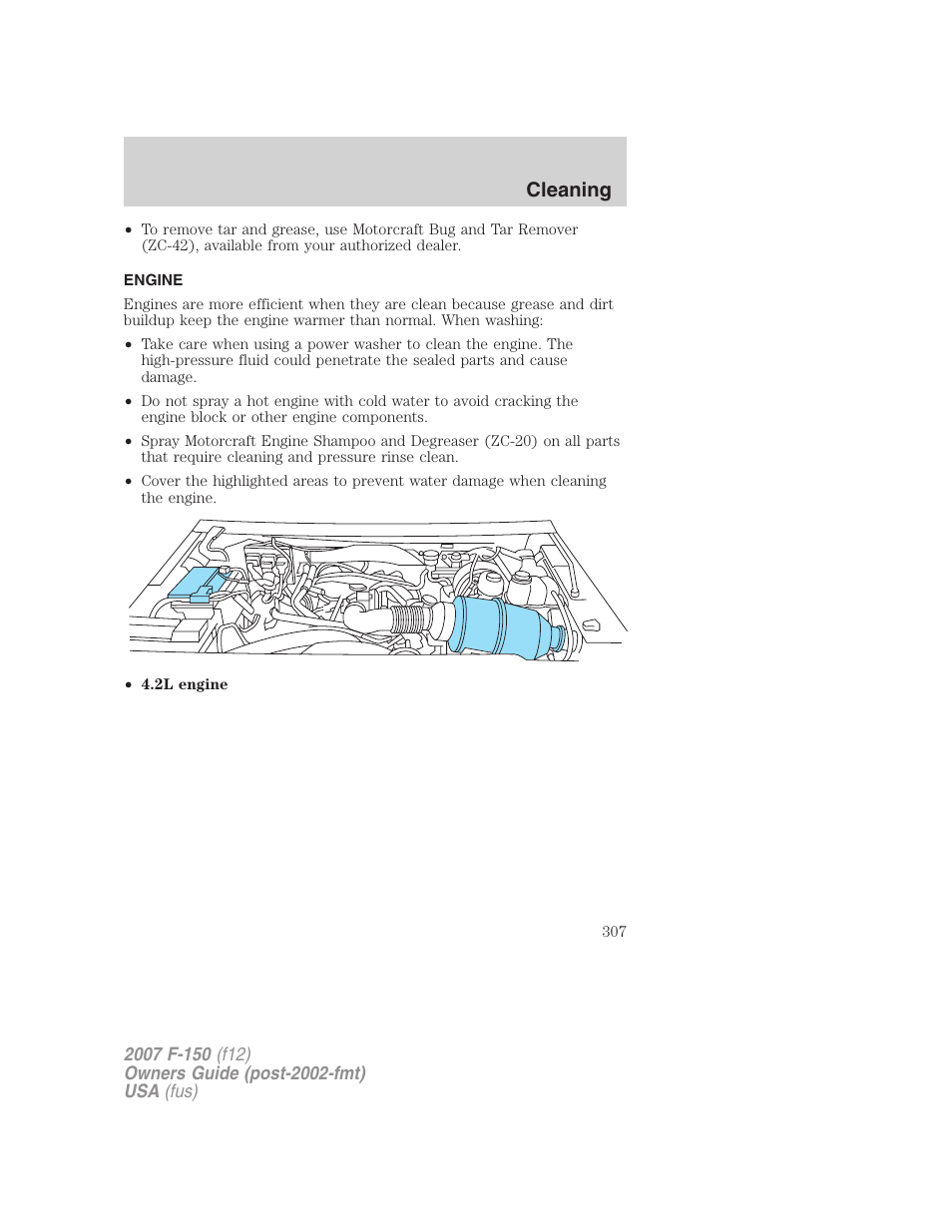 Engine, Cleaning | FORD 2007 F-150 v.3 User Manual | Page 307 / 376