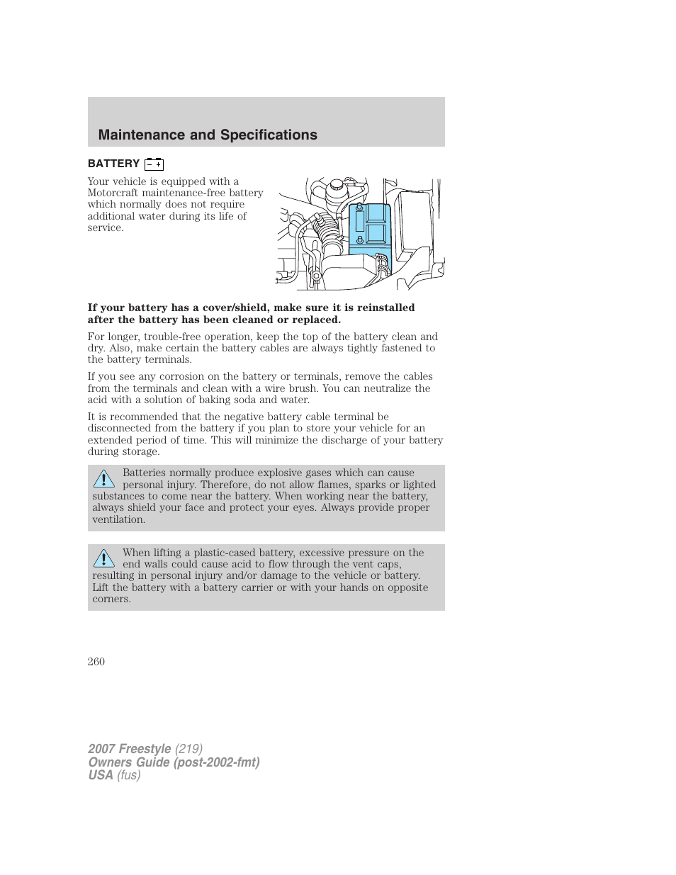 Battery, Maintenance and specifications | FORD 2007 Freestyle v.1 User Manual | Page 260 / 296