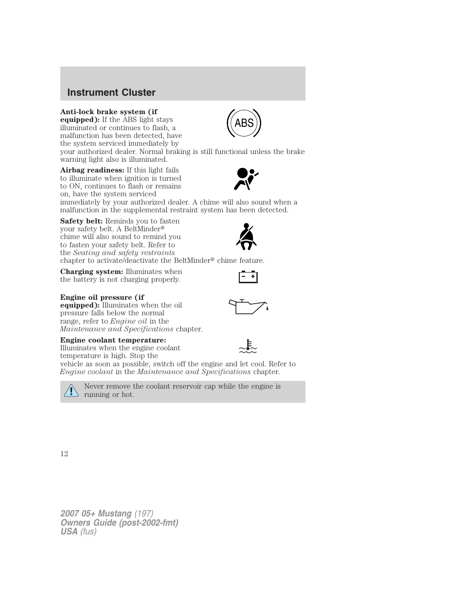 Instrument cluster | FORD 2007 Mustang User Manual | Page 12 / 256