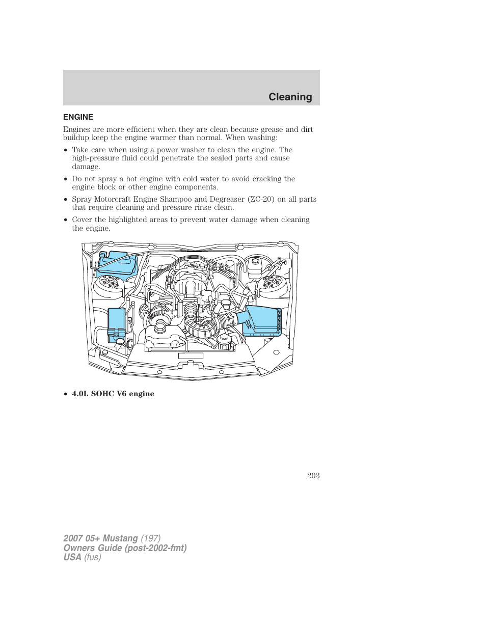 Engine, Cleaning | FORD 2007 Mustang User Manual | Page 203 / 256