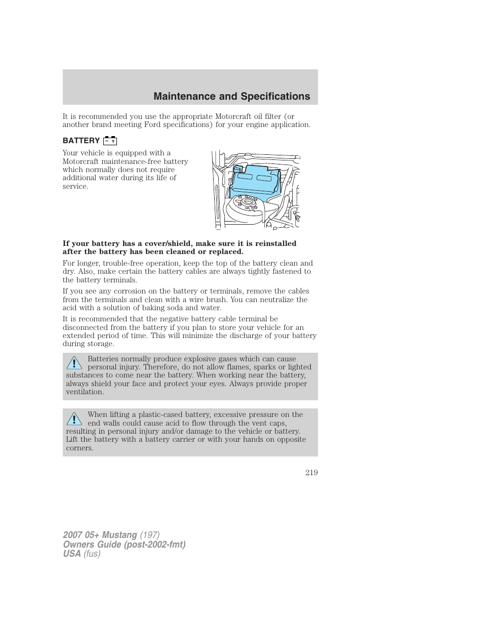Battery, Maintenance and specifications | FORD 2007 Mustang User Manual | Page 219 / 256