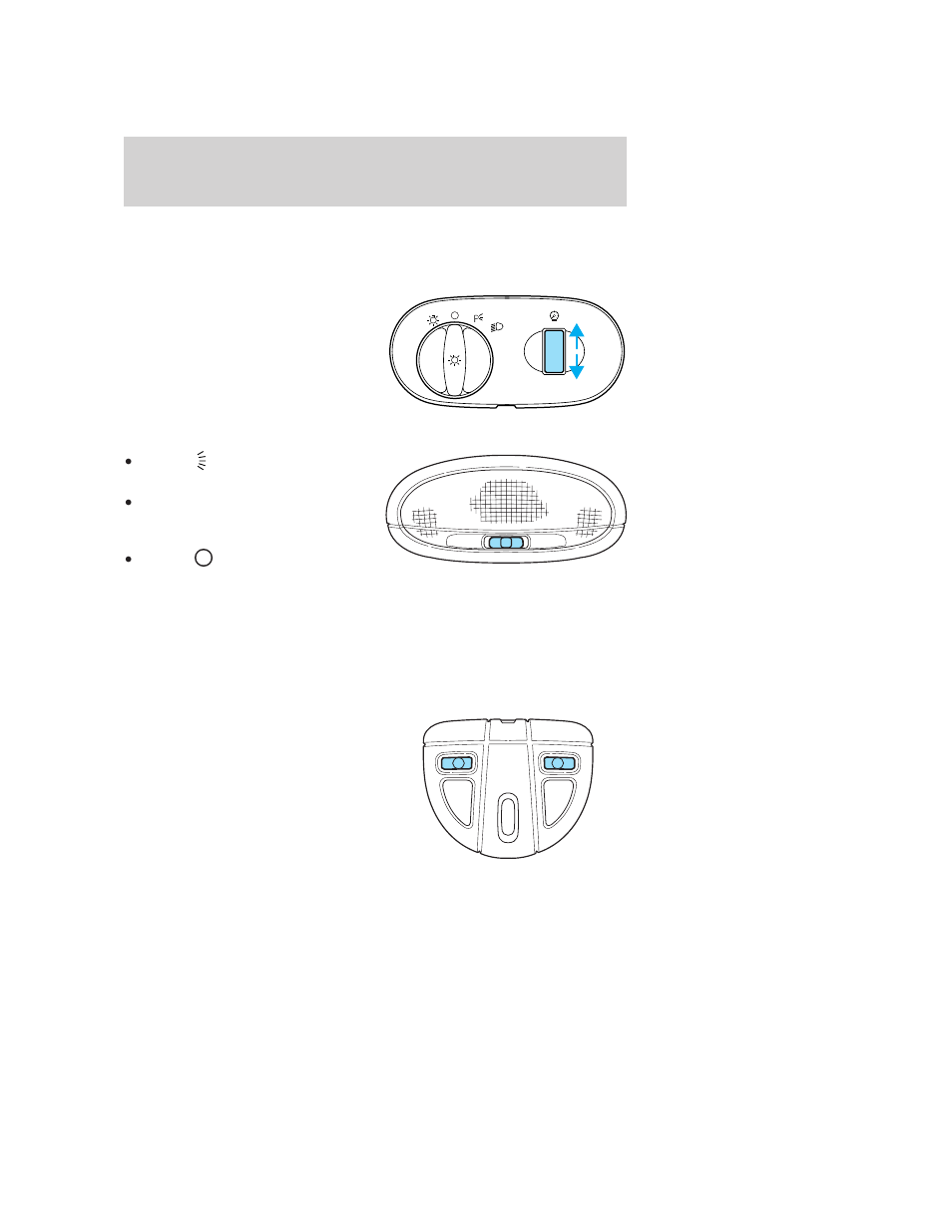 Dome lamp (with moon roof), Map lamps (with moon roof), Lights | FORD 2007 Taurus User Manual | Page 33 / 232