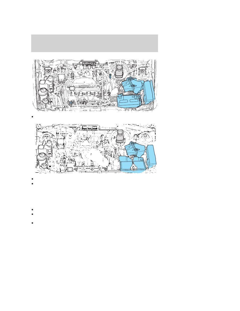 Plastic (non-painted) exterior parts, Cleaning | FORD 2006 Escape v.3 User Manual | Page 237 / 296