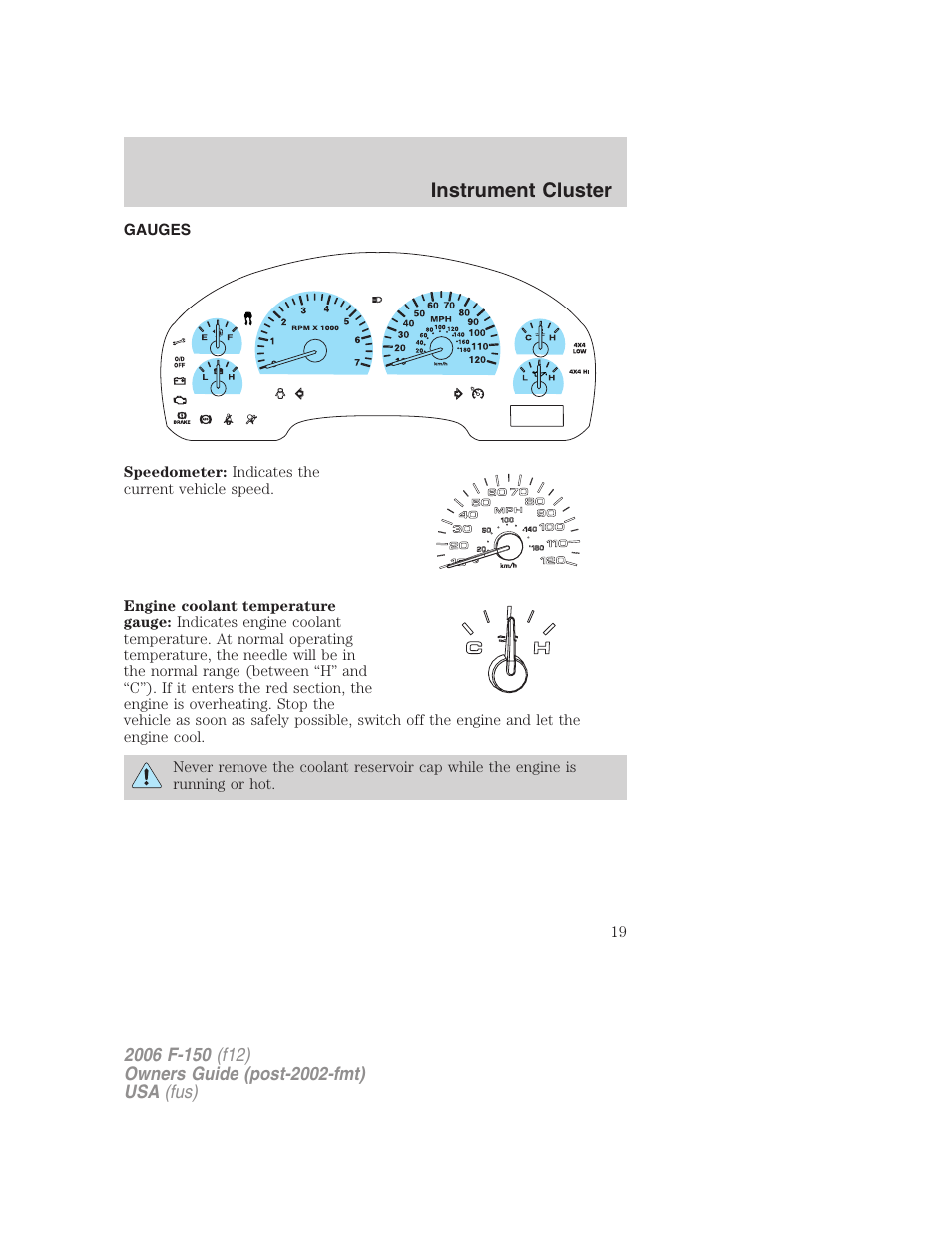 Gauges, Instrument cluster | FORD 2006 F-150 v.2 User Manual | Page 19 / 336