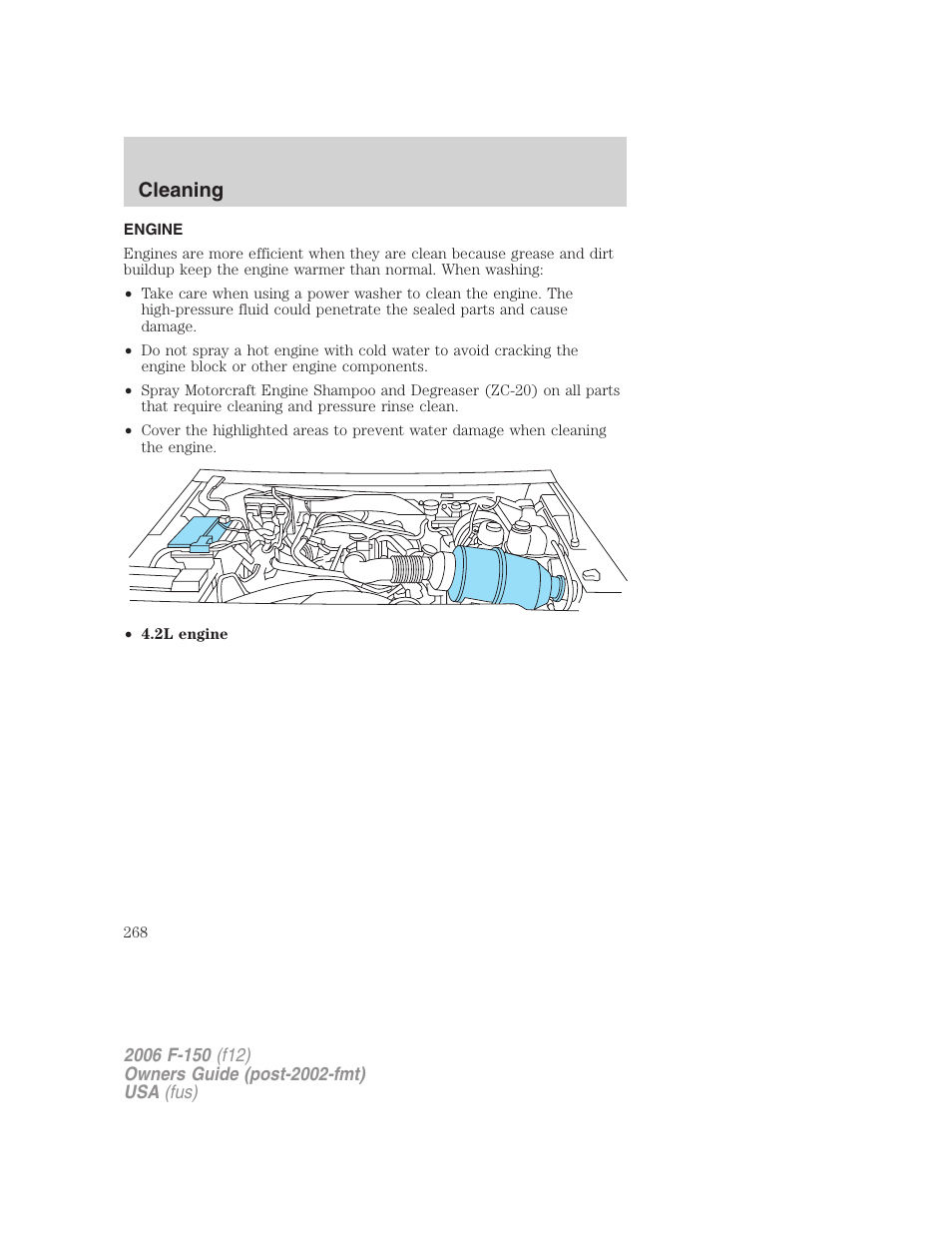 Engine, Cleaning | FORD 2006 F-150 v.2 User Manual | Page 268 / 336