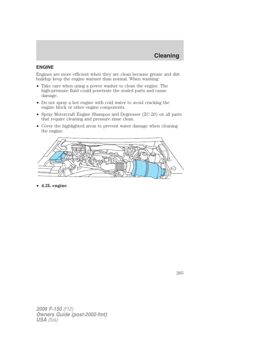 Engine, Cleaning | FORD 2006 F-150 v.3 User Manual | Page 265 / 336