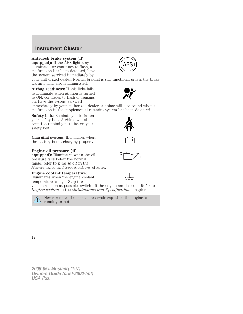 Instrument cluster | FORD 2006 Mustang v.1 User Manual | Page 12 / 248