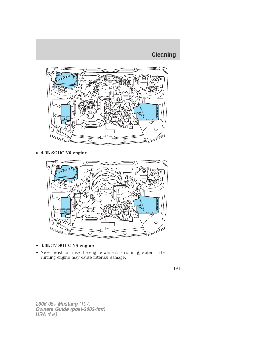 Cleaning | FORD 2006 Mustang v.1 User Manual | Page 191 / 248