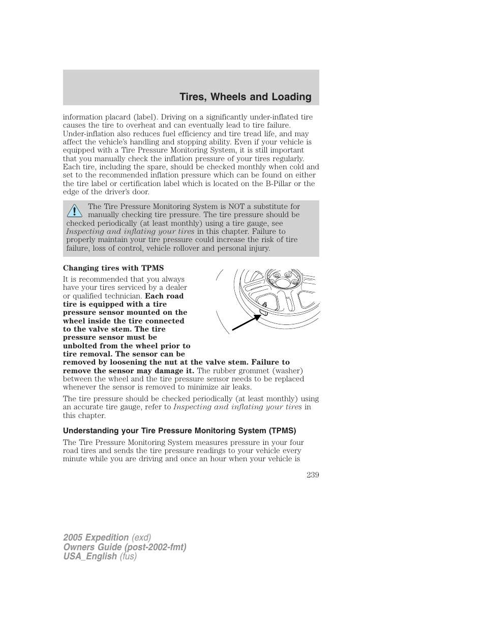 Tires, wheels and loading | FORD 2005 Expedition v.2 User Manual | Page 239 / 376