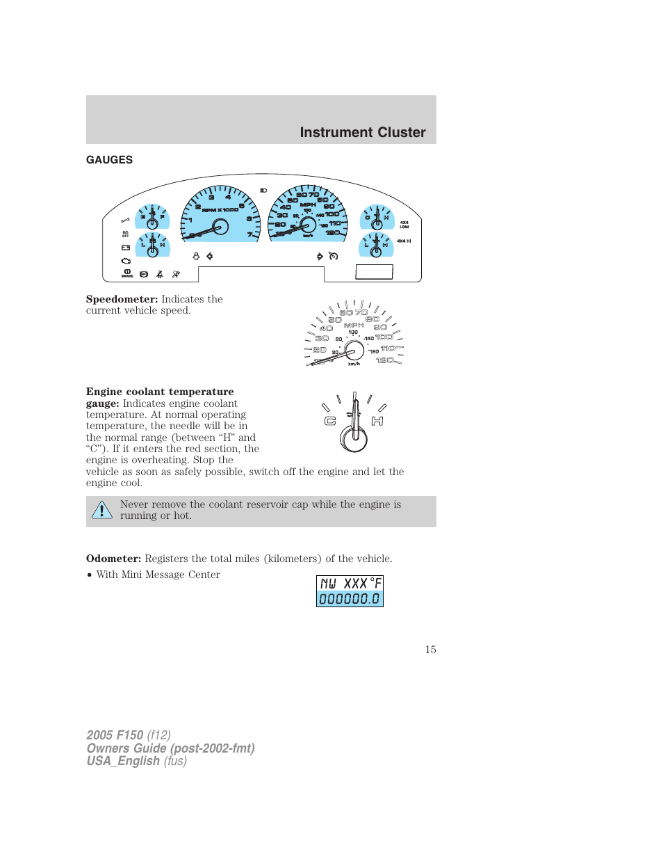Gauges, Instrument cluster | FORD 2005 F-150 v.3 User Manual | Page 15 / 312