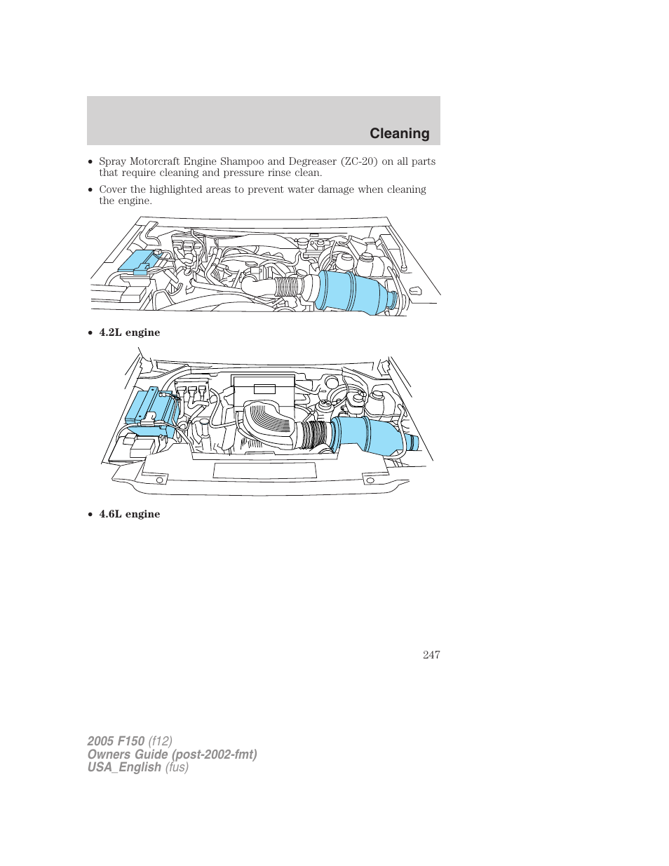 Cleaning | FORD 2005 F-150 v.3 User Manual | Page 247 / 312
