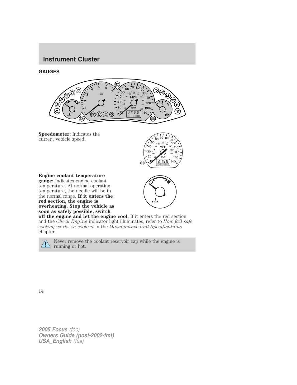 Gauges, Instrument cluster | FORD 2005 Focus v.3 User Manual | Page 14 / 224