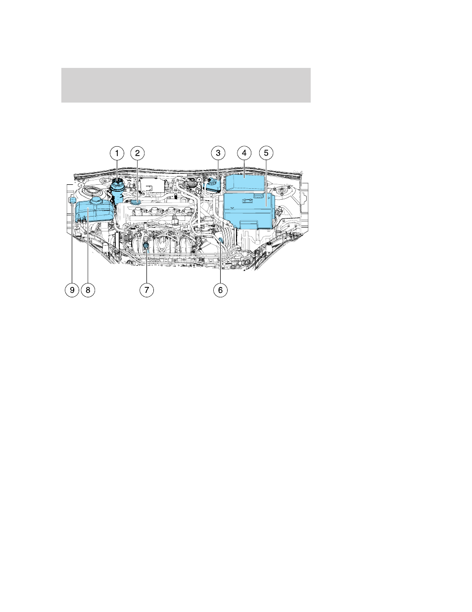 Identifying components in the engine compartment, 0l/2.3l i4 engines, Engine compartment | Maintenance and specifications | FORD 2005 Focus v.4 User Manual | Page 179 / 224