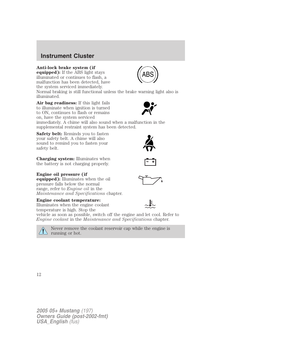 Instrument cluster | FORD 2005 Mustang v.1 User Manual | Page 12 / 240