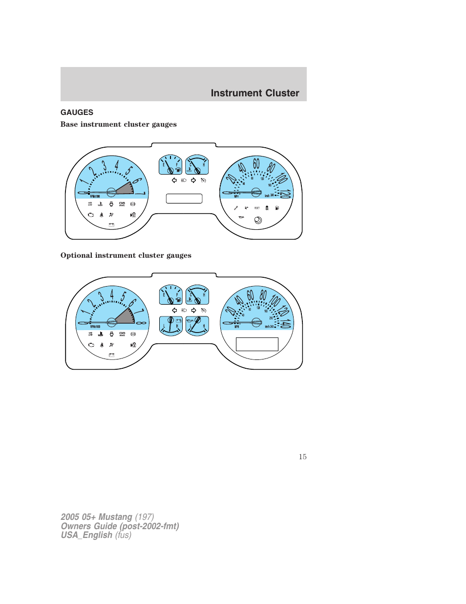 Instrument cluster | FORD 2005 Mustang v.1 User Manual | Page 15 / 240