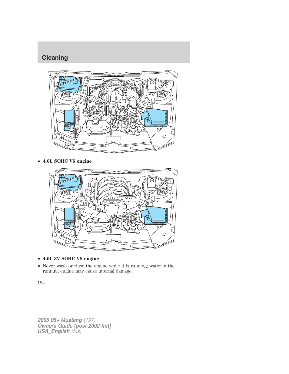 Cleaning | FORD 2005 Mustang v.1 User Manual | Page 184 / 240