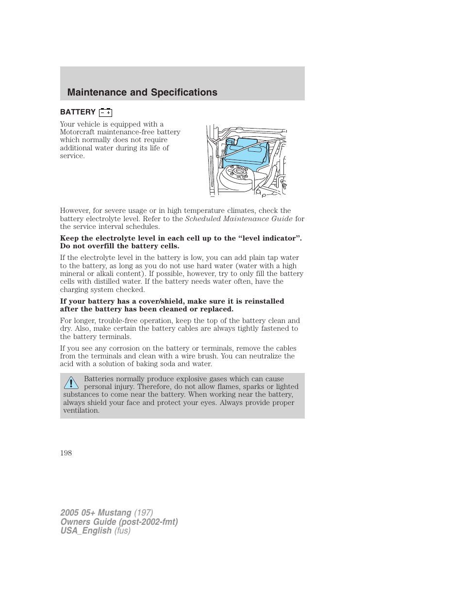 Maintenance and specifications | FORD 2005 Mustang v.1 User Manual | Page 198 / 240