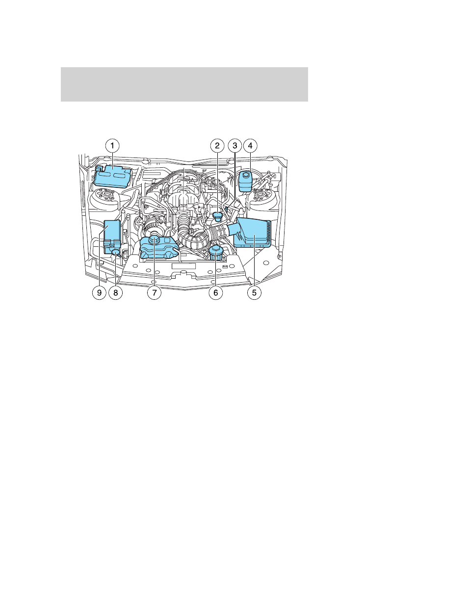 Identifying components in the engine compartment, 0l sohc v6 engine, Engine compartment | Maintenance and specifications | FORD 2005 Mustang v.3 User Manual | Page 196 / 248