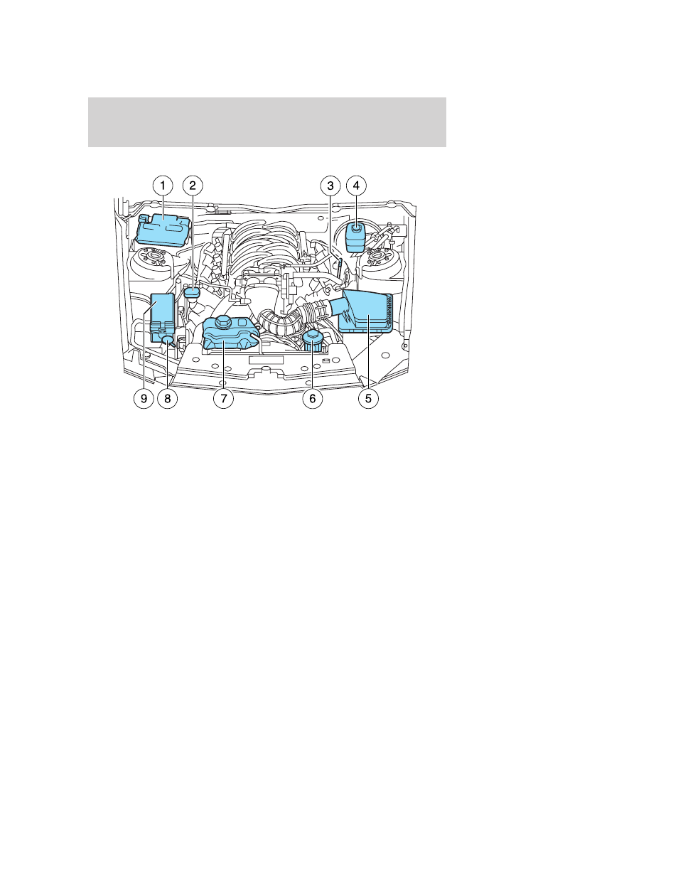 6l 3v sohc v8 engine, Maintenance and specifications | FORD 2005 Mustang v.3 User Manual | Page 197 / 248