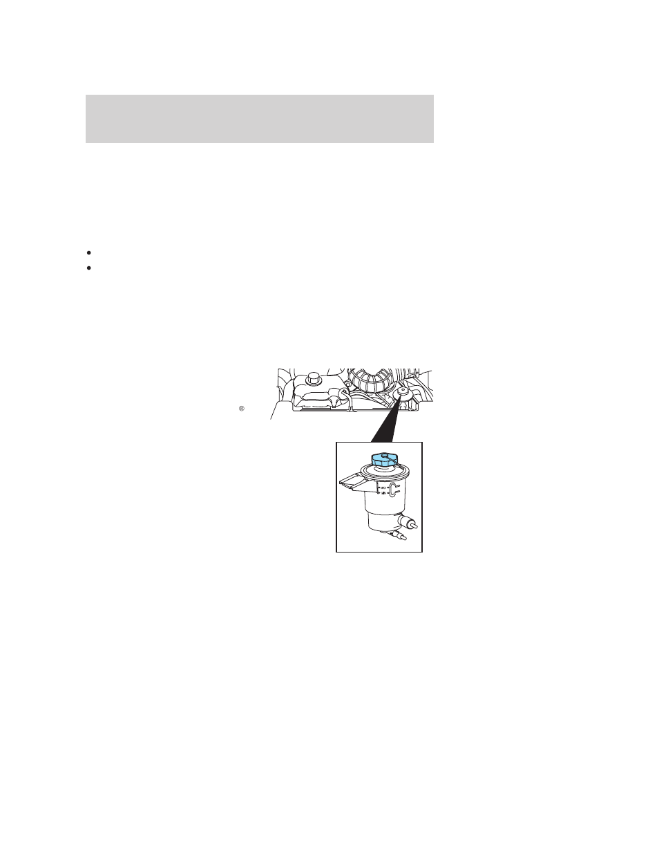 Power steering fluid, Maintenance and specifications | FORD 2005 Mustang v.3 User Manual | Page 221 / 248