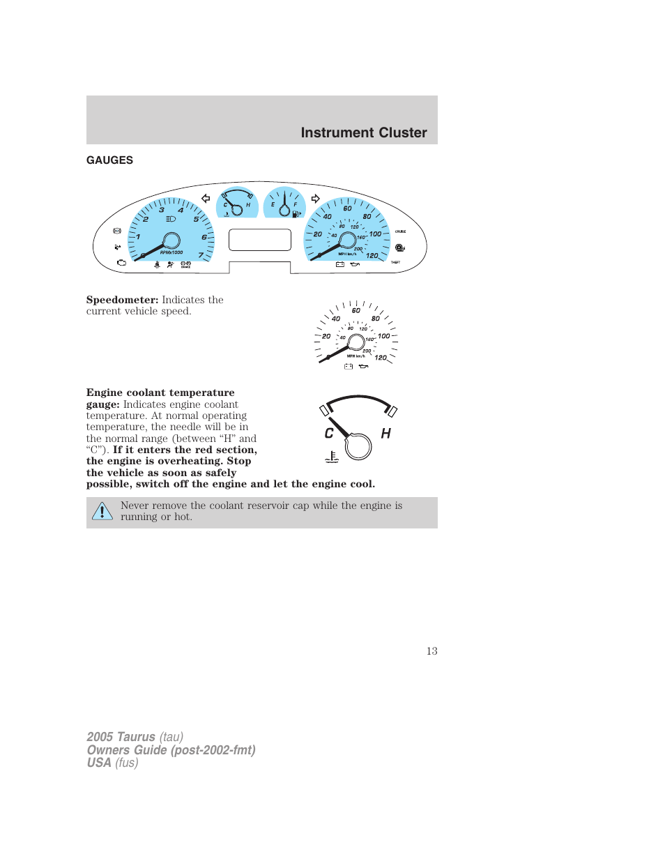 Gauges, Instrument cluster | FORD 2005 Taurus v.3 User Manual | Page 13 / 256