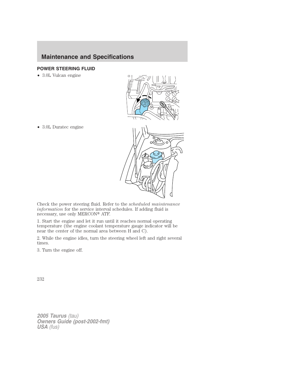 Power steering fluid, Maintenance and specifications | FORD 2005 Taurus v.3 User Manual | Page 232 / 256