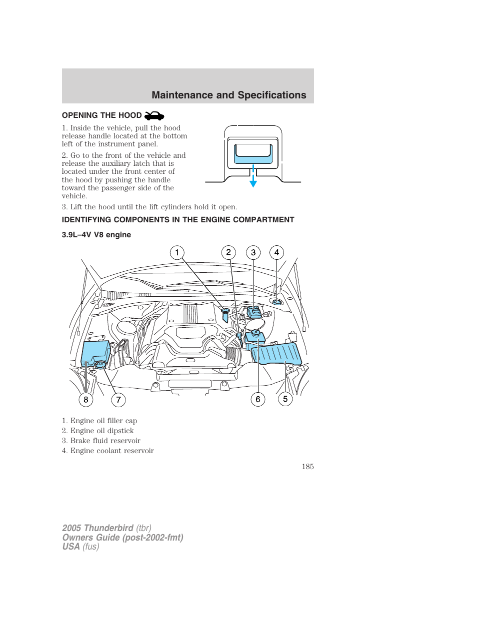 Opening the hood, Identifying components in the engine compartment, 9l–4v v8 engine | Engine compartment, Maintenance and specifications | FORD 2005 Thunderbird v.2 User Manual | Page 185 / 232