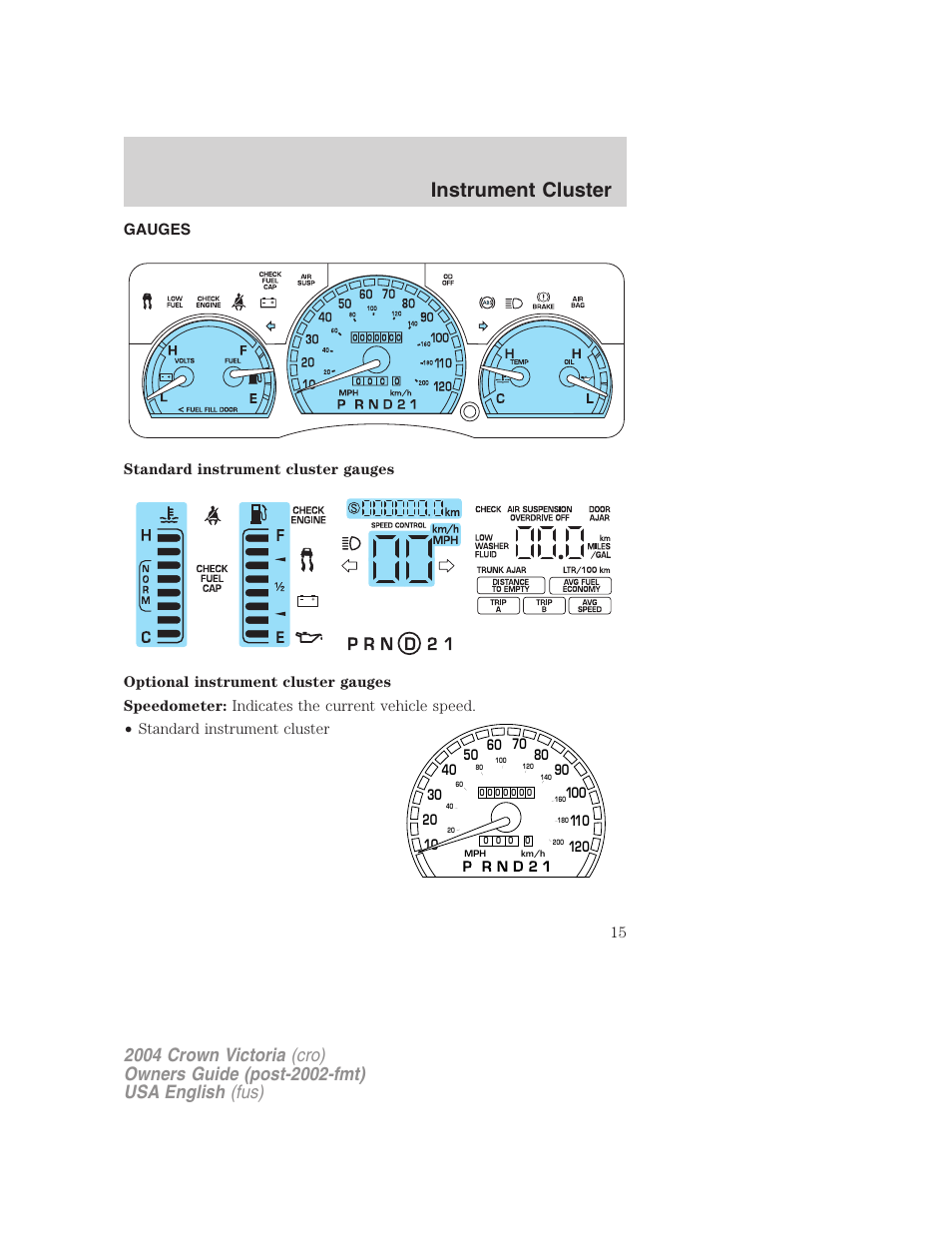 Instrument cluster | FORD 2004 Crown Victoria v.2 User Manual | Page 15 / 248