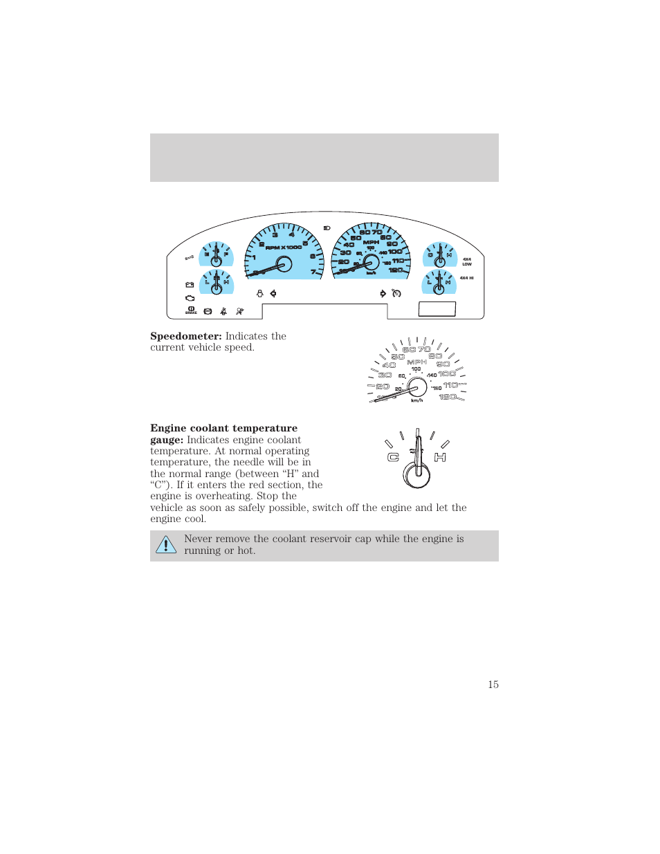 Instrument cluster | FORD 2004 F-150 v.1 User Manual | Page 15 / 280