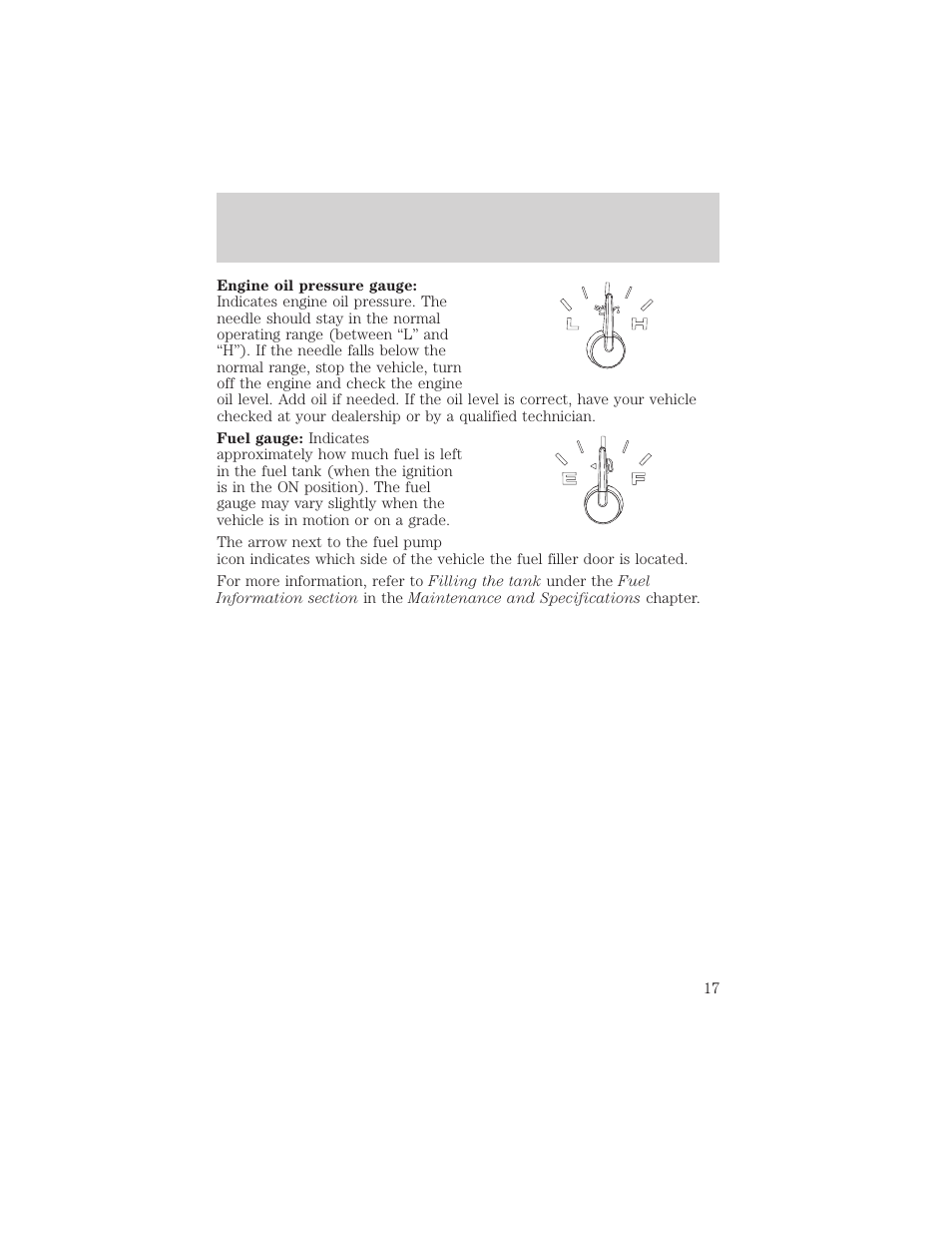 Instrument cluster | FORD 2004 F-150 v.1 User Manual | Page 17 / 280