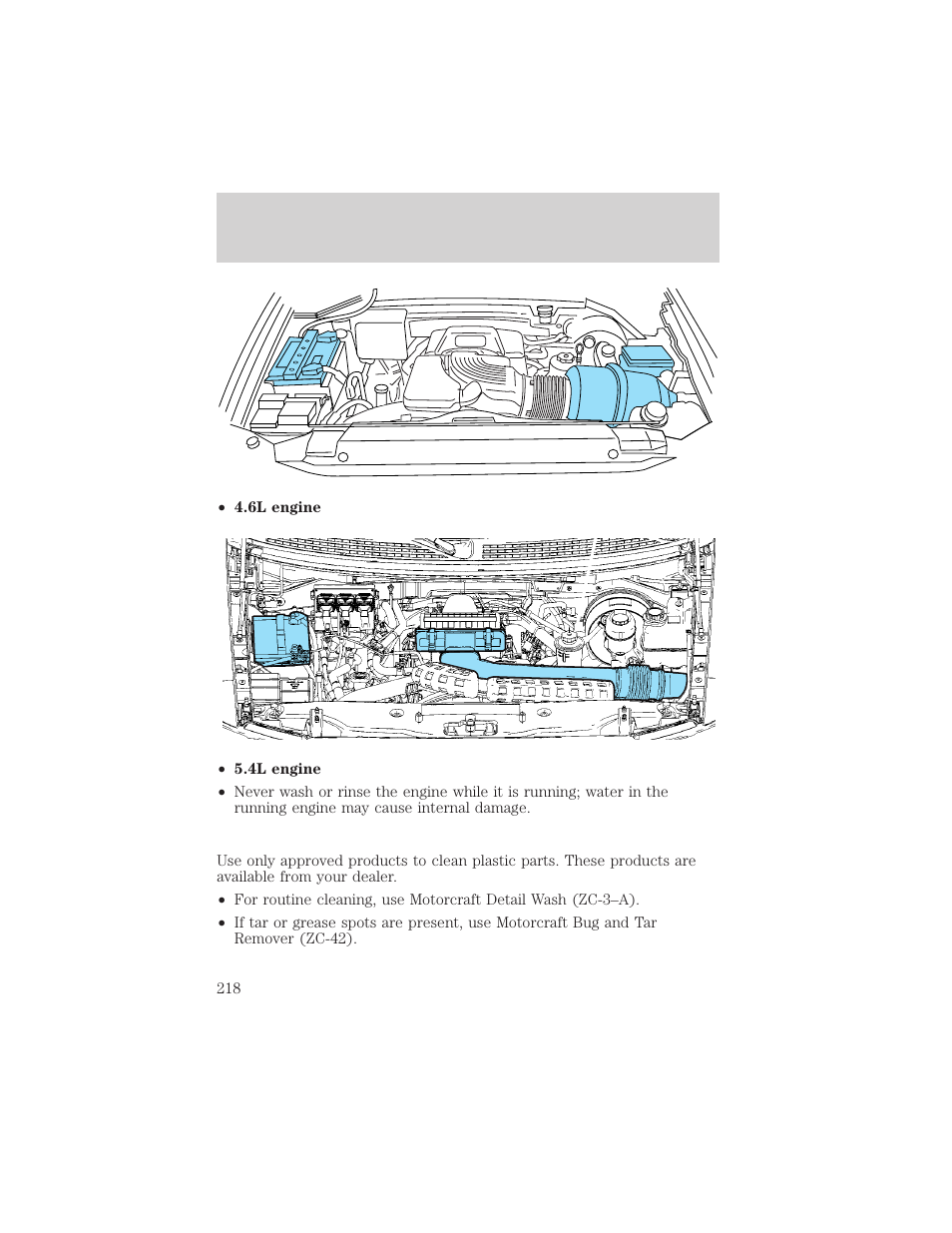 Cleaning | FORD 2004 F-150 v.1 User Manual | Page 218 / 280